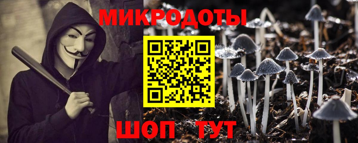 Галлюциногенные грибы прущие грибы  Вход с VPN  Псилоцибиновые грибы MAGIC MUSHROOMS  Верхняя Пышма 
